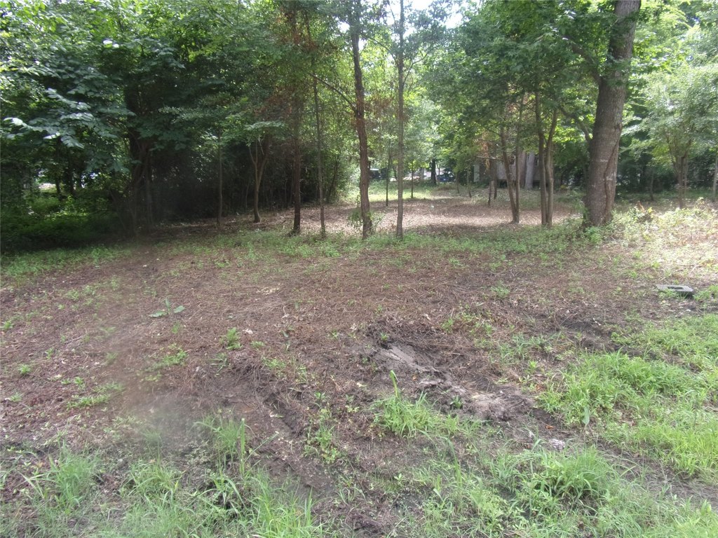 Picture 2