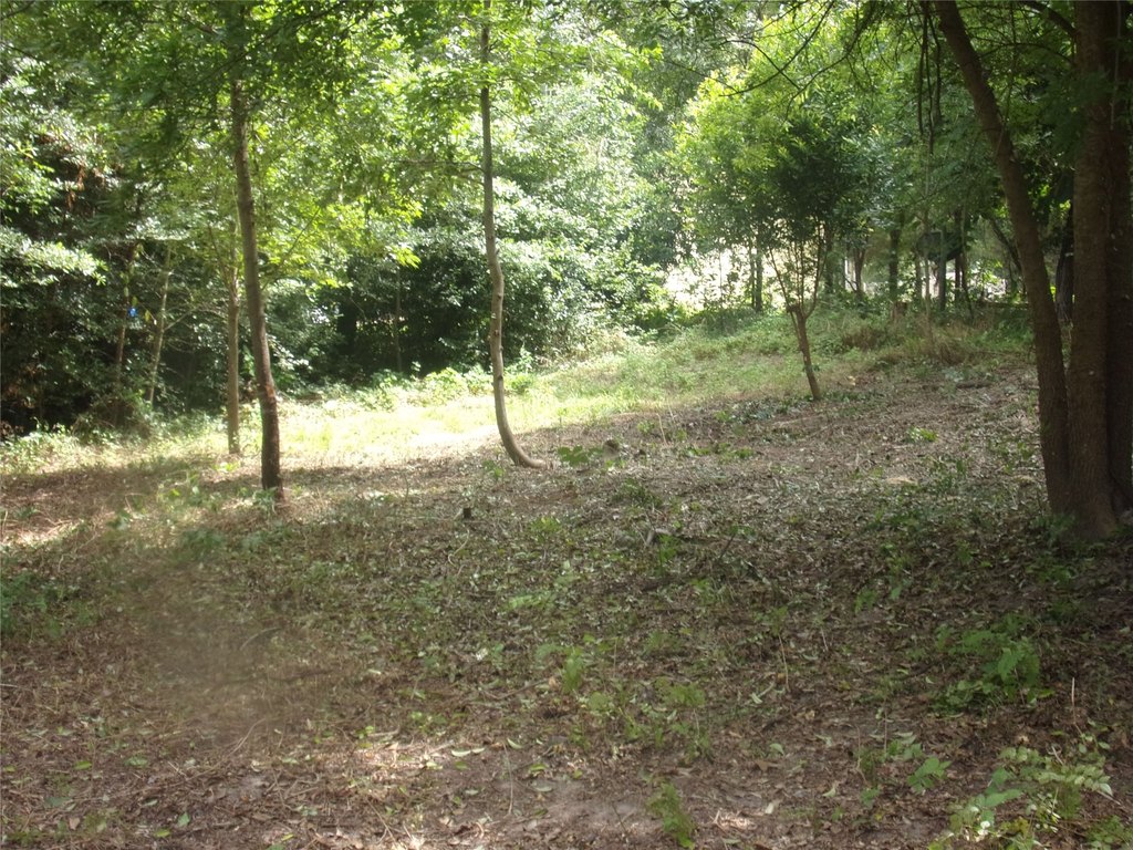 Picture 3