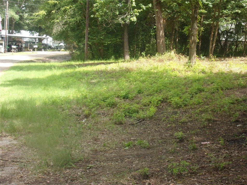 Picture 7