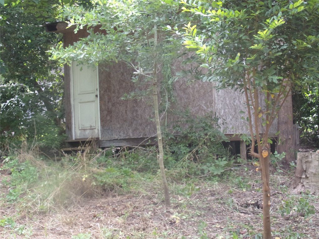 Picture 9