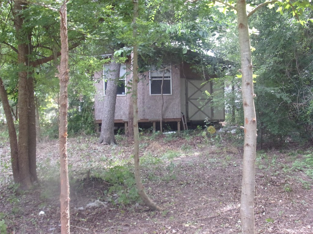 Picture 8