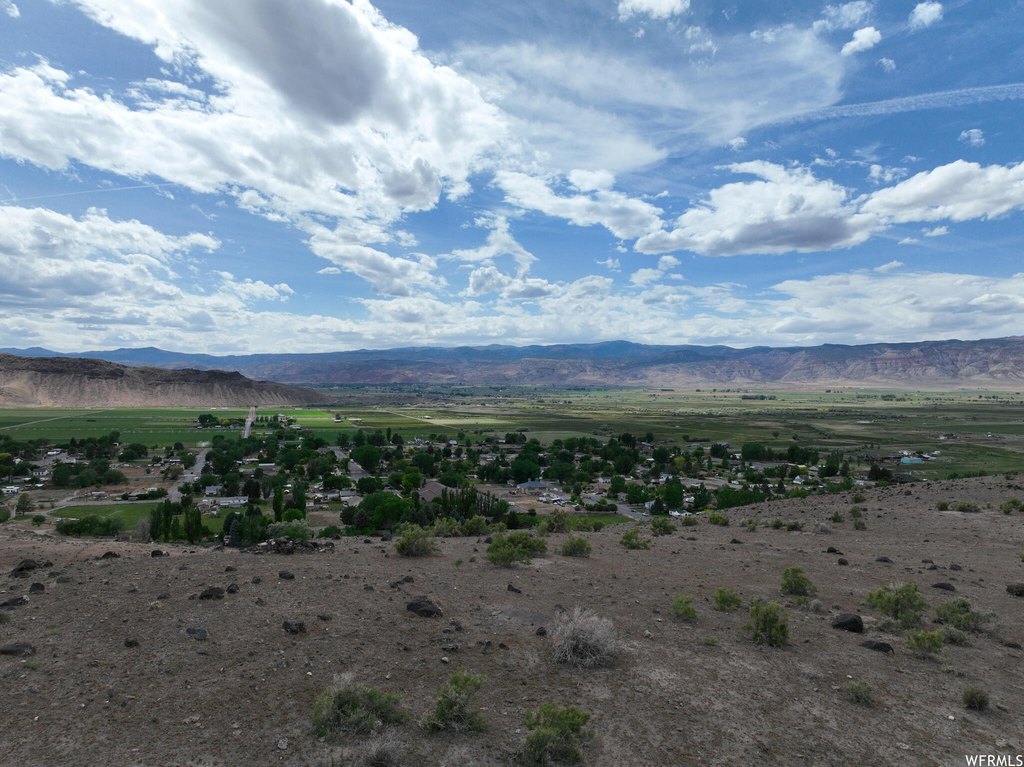 Picture 14