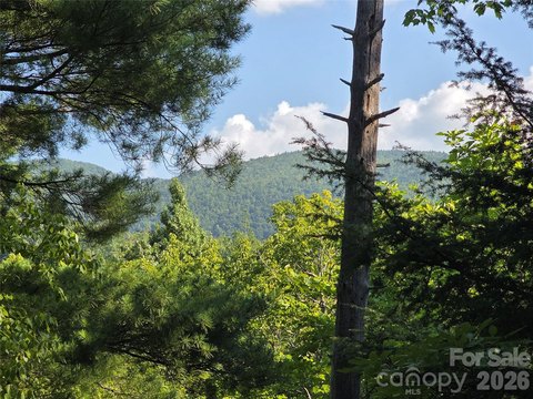 Land, Marion, NC