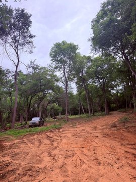 Land, PALESTINE, TX