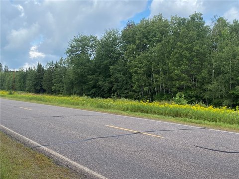 Heavily Wooded Land Parcel