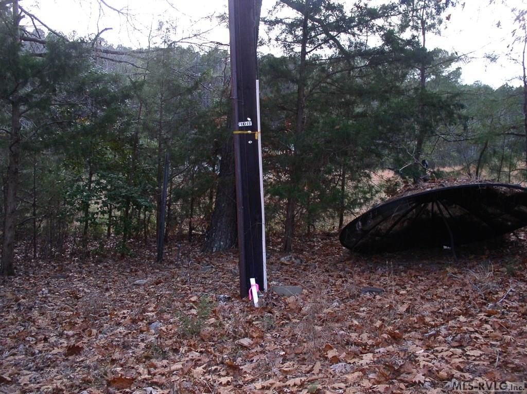Picture 2