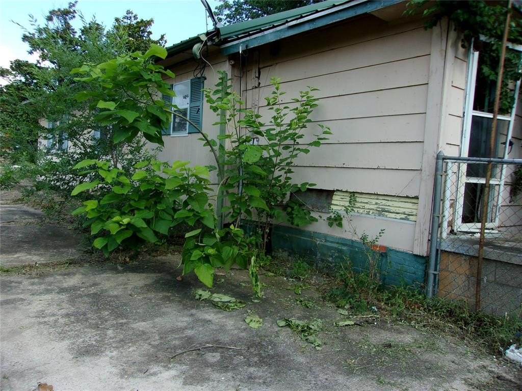 Picture 13