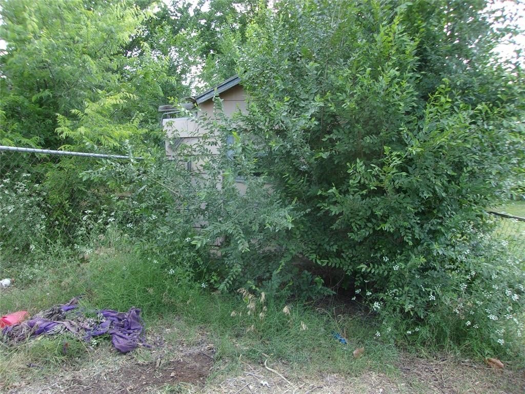 Picture 6
