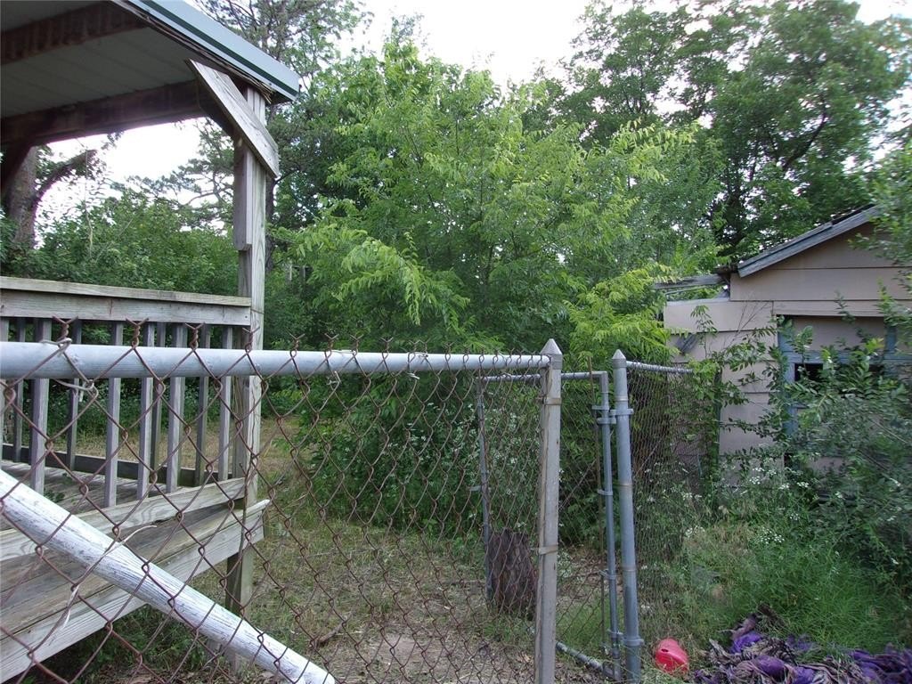 Picture 8