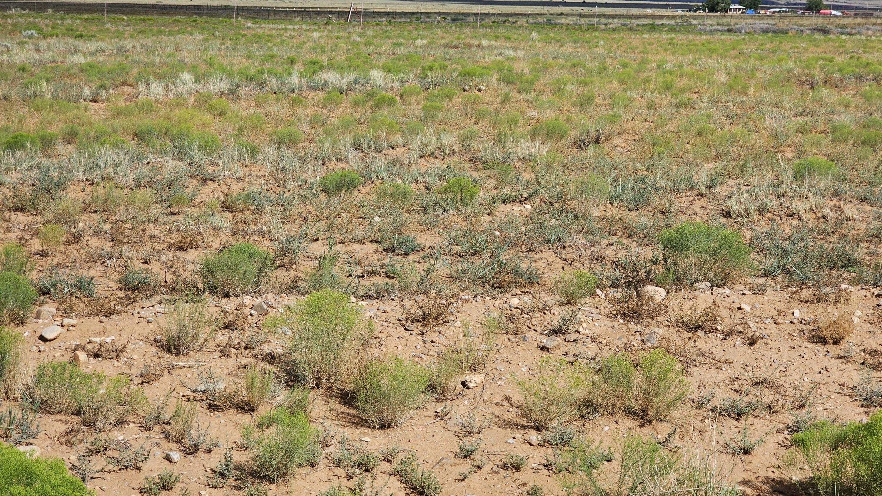 Land in Belen, New Mexico
