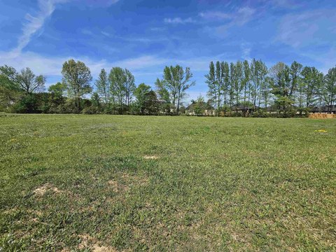 Vacant Land, Ward, AR