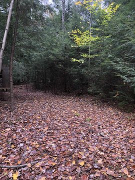 Land Near Viele Pond, Warrensburg
