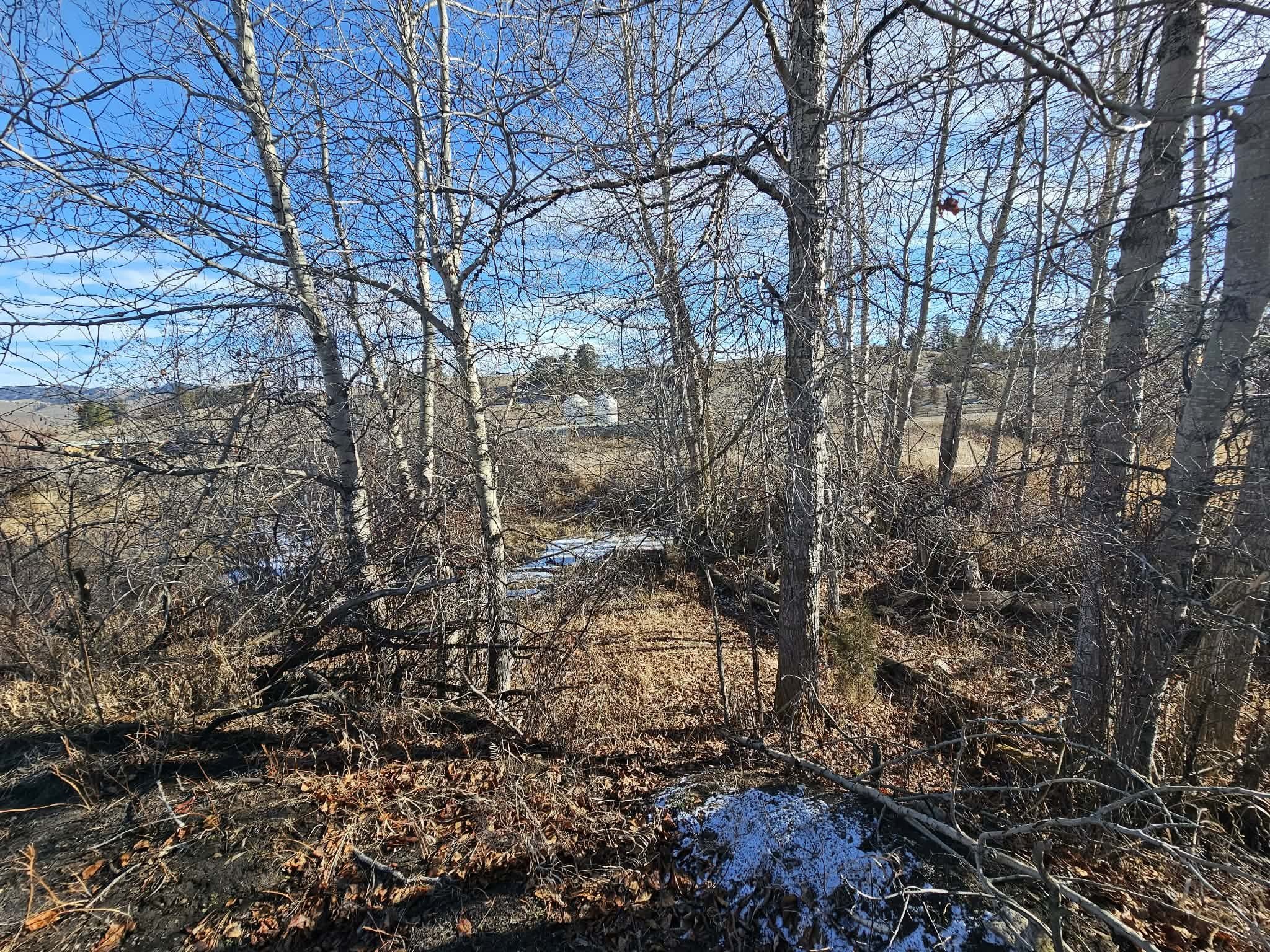 Montana Land Near Clark Fork