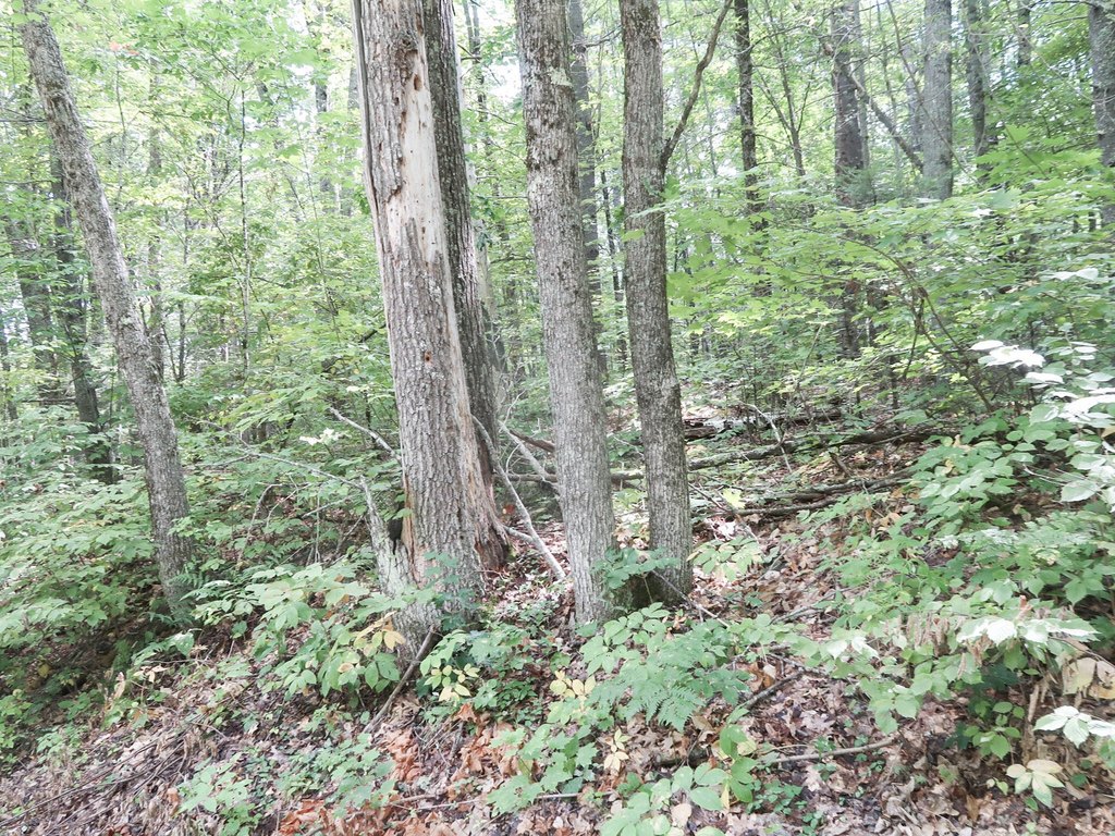 Picture 21