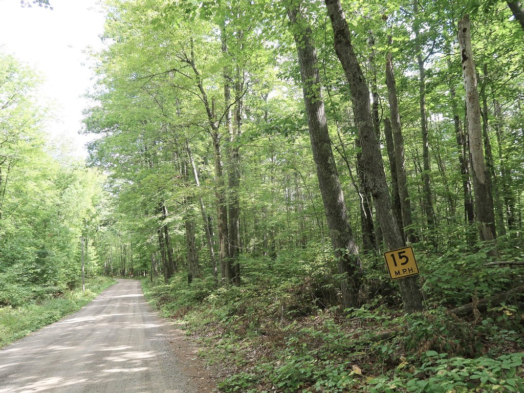 Picture 8