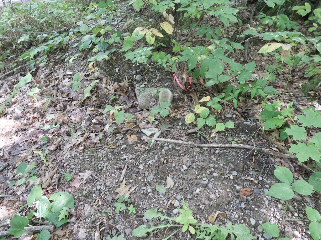Picture 5