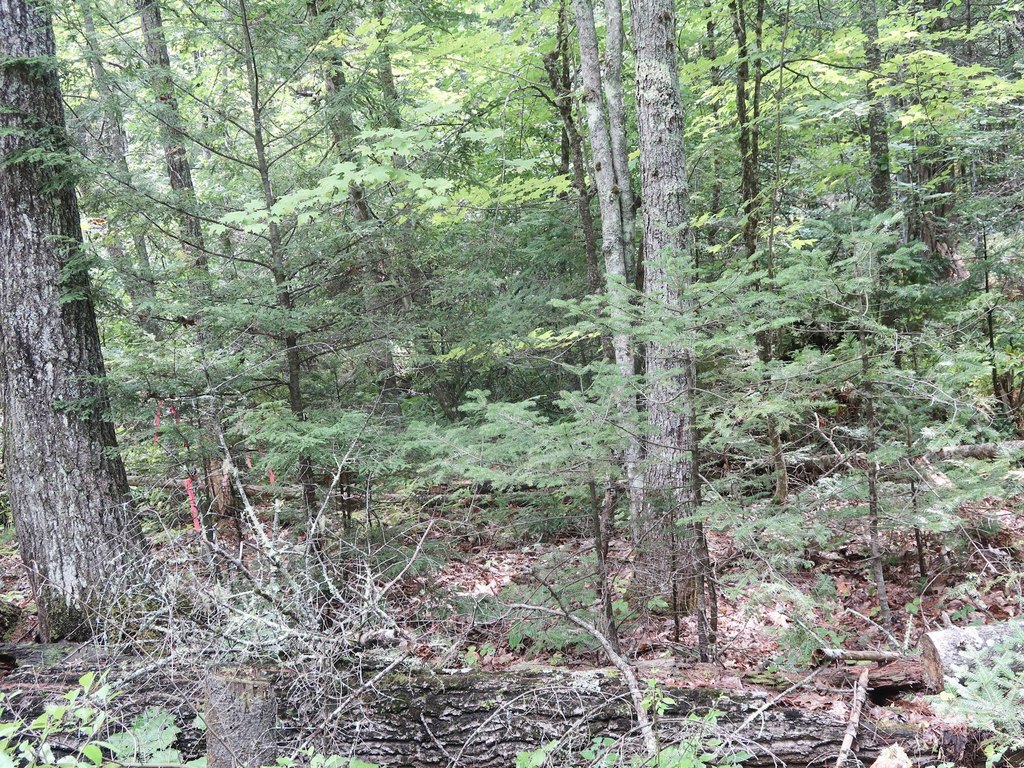 Picture 17