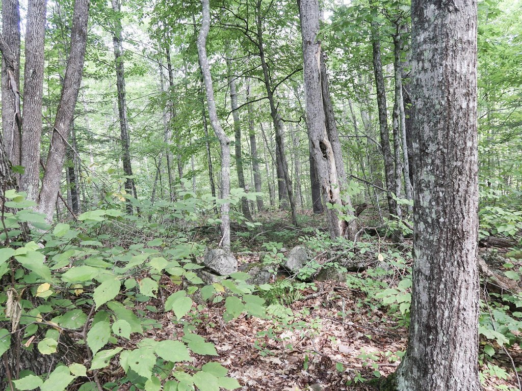 Picture 15