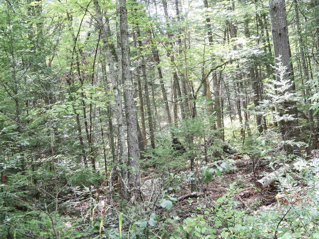 Picture 16