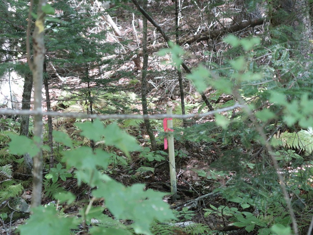 Picture 10