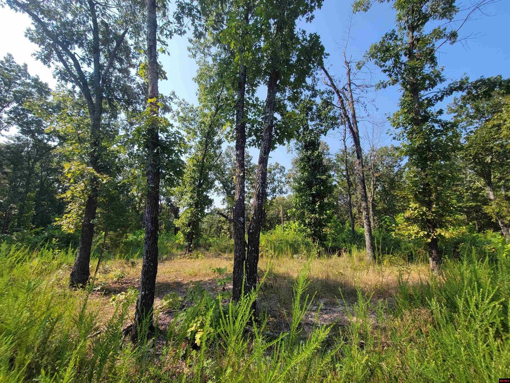 Picture 8