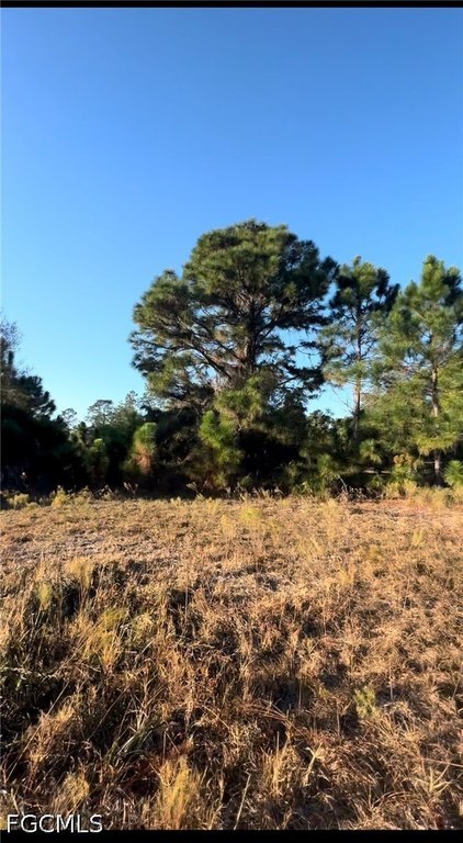 Picture 5