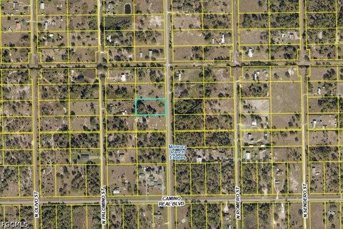 LAND - Clewiston, FL