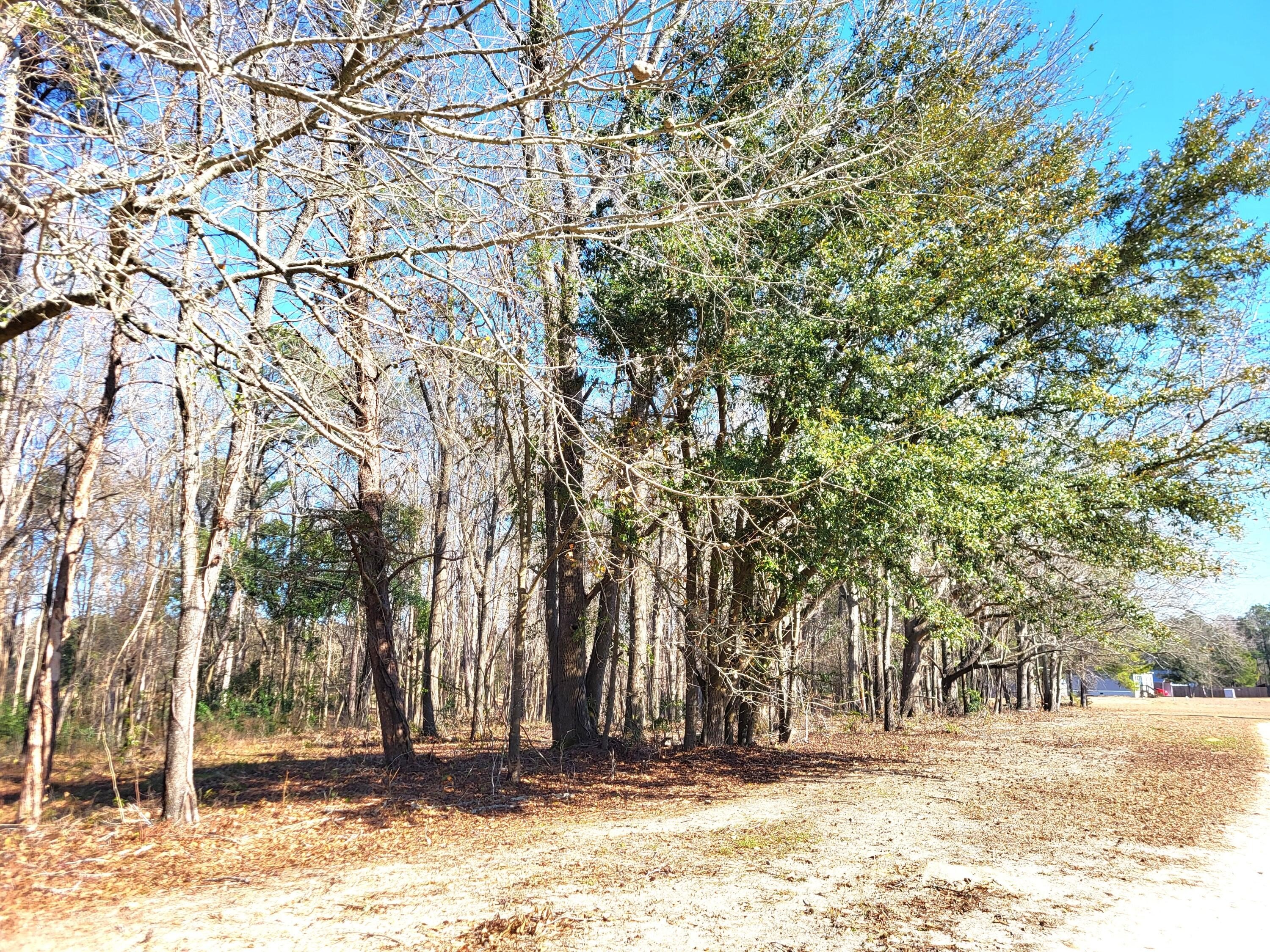 2.12 Acre Wooded Lot