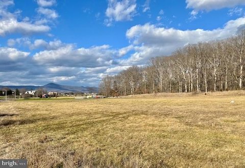 Commercial Lot in Luray Landing