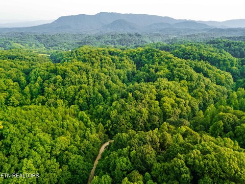 LAND - Seymour, TN