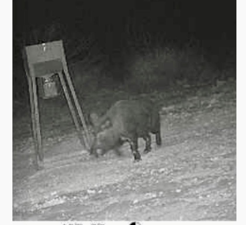 Picture 22
