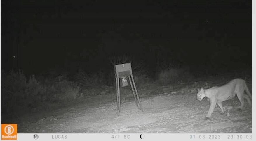 Picture 26