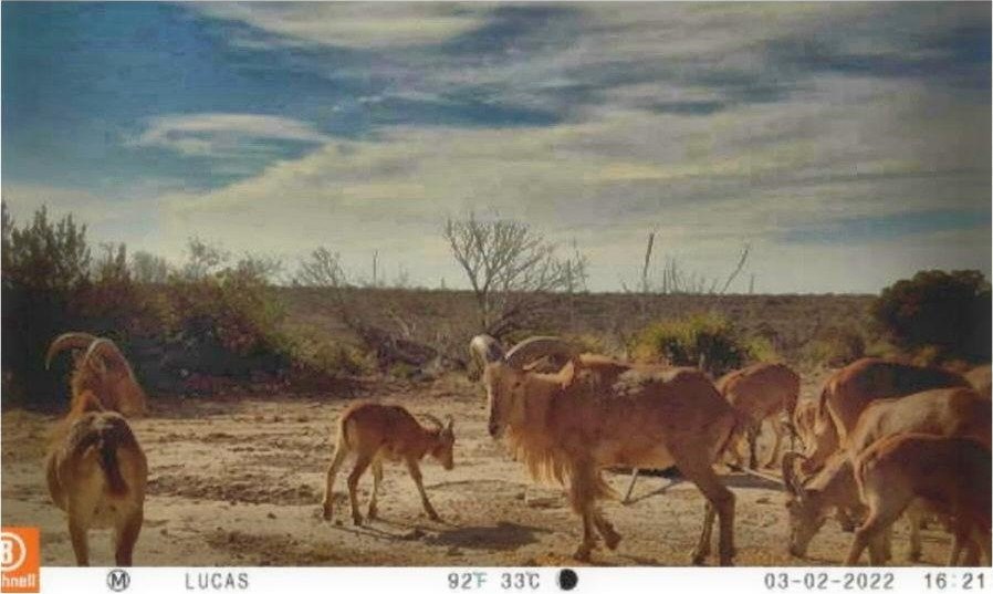 Picture 25