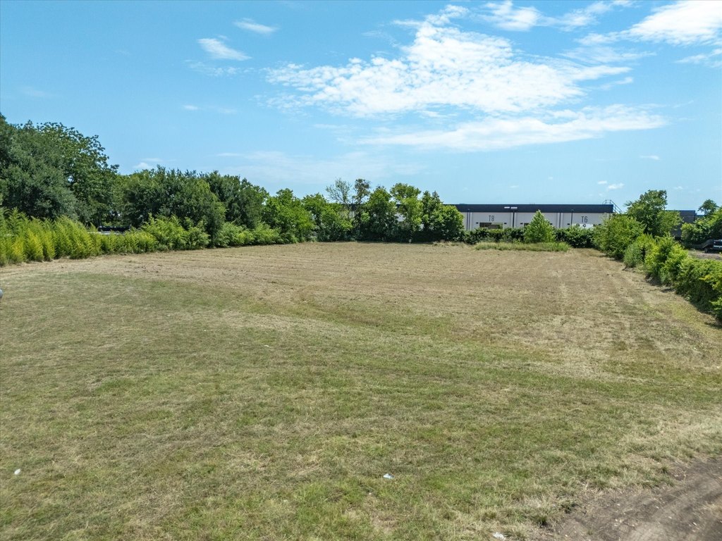 Picture 5