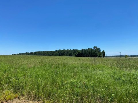 Crockett, TX Acreage Homesite