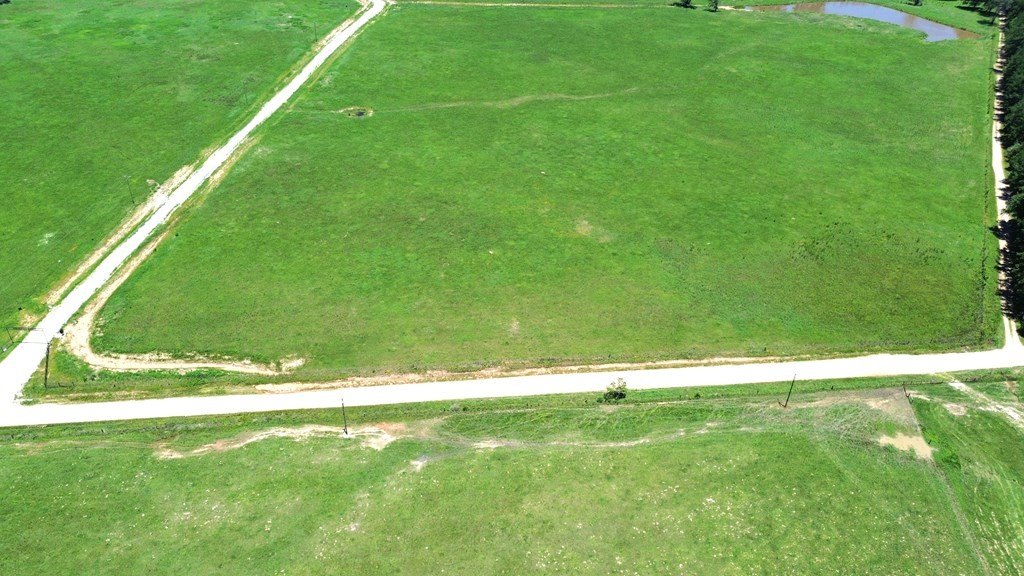 Picture 4