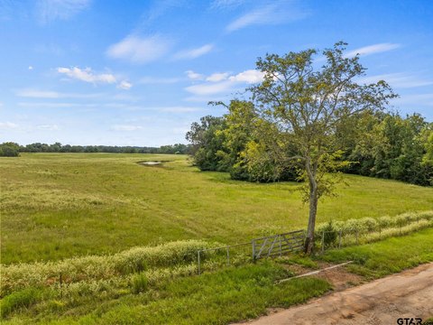 76.94 Acres in Mt Pleasant