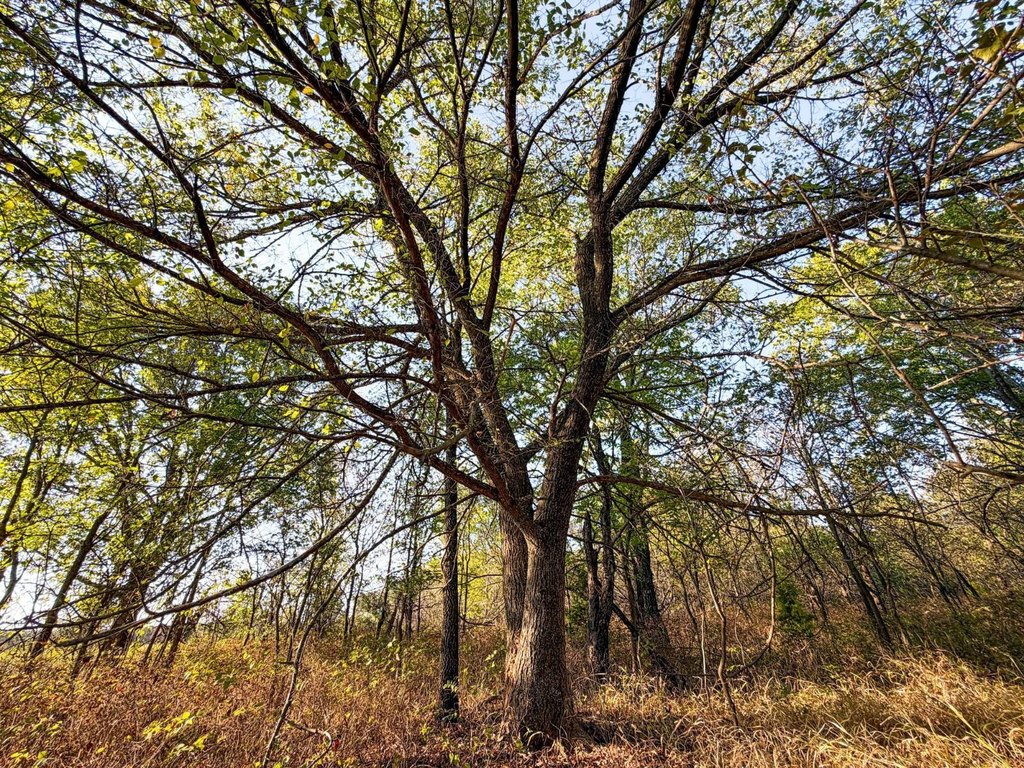 Picture 25
