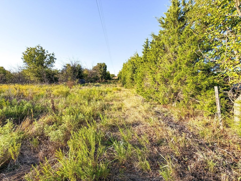 Picture 15