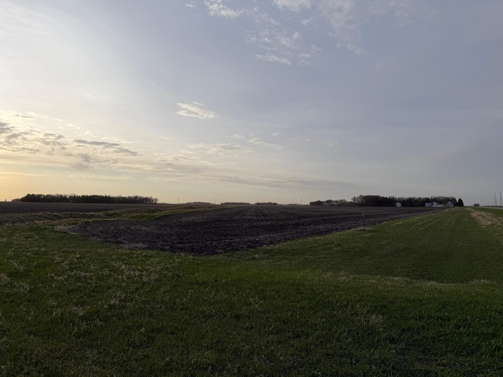 Picture 19