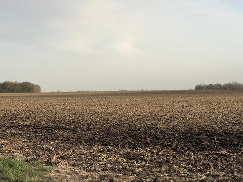 Agricultural Farmland with Building Site
