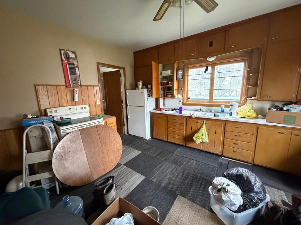 Picture 46