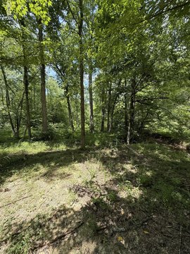 Pigeon Forge Land For Sale