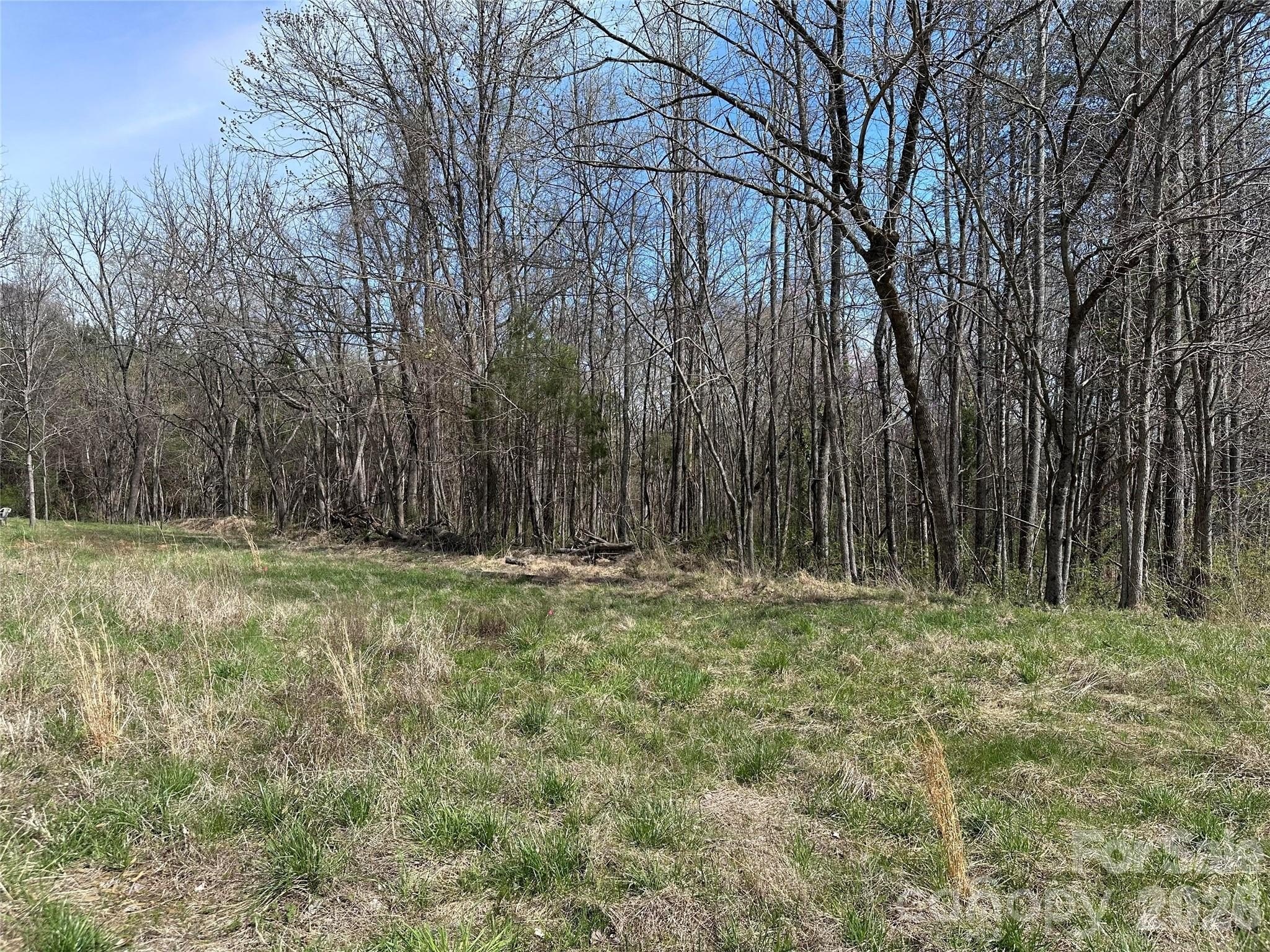 32.9 Acres in Davie County