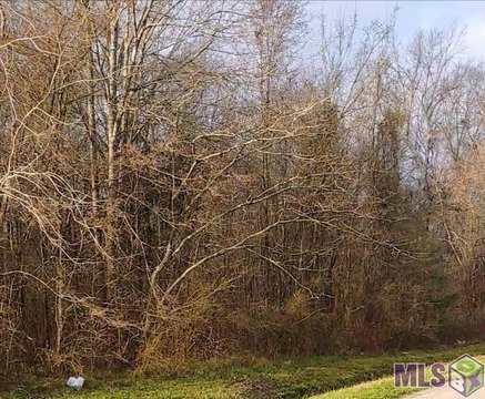 Residential Lot with Park Access