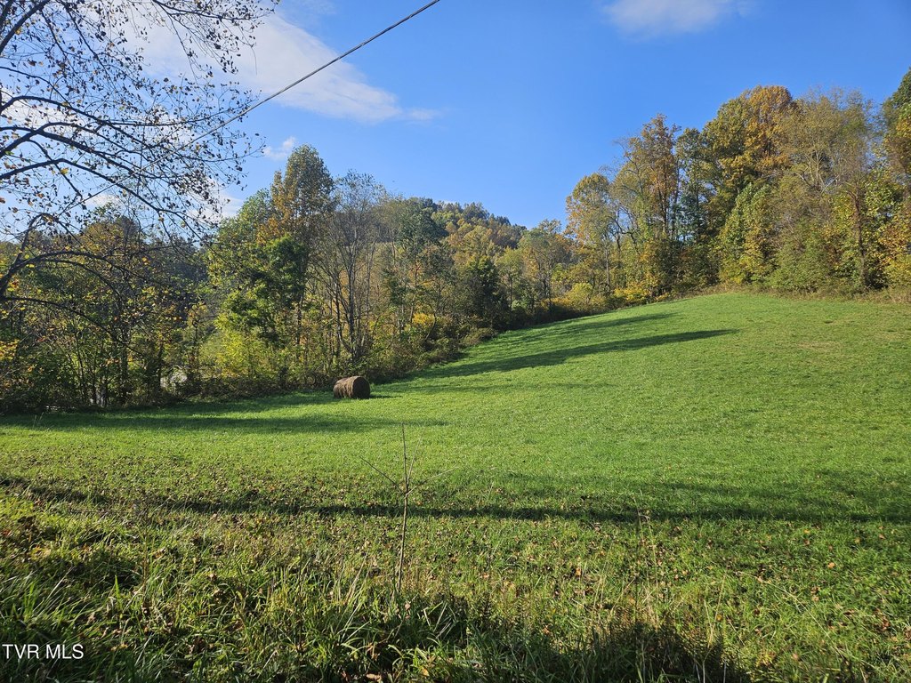 Picture 4