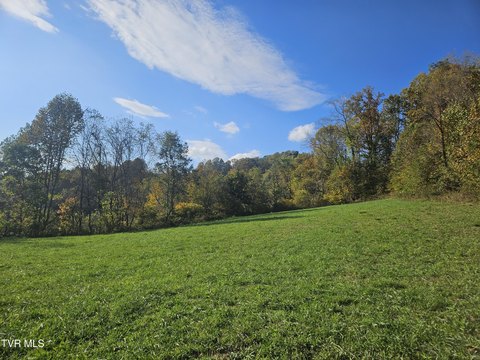 Land, Castlewood, VA