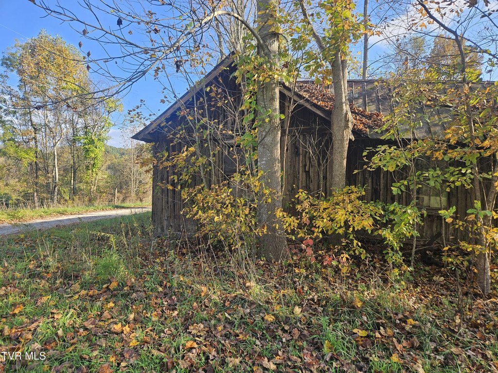 Picture 16
