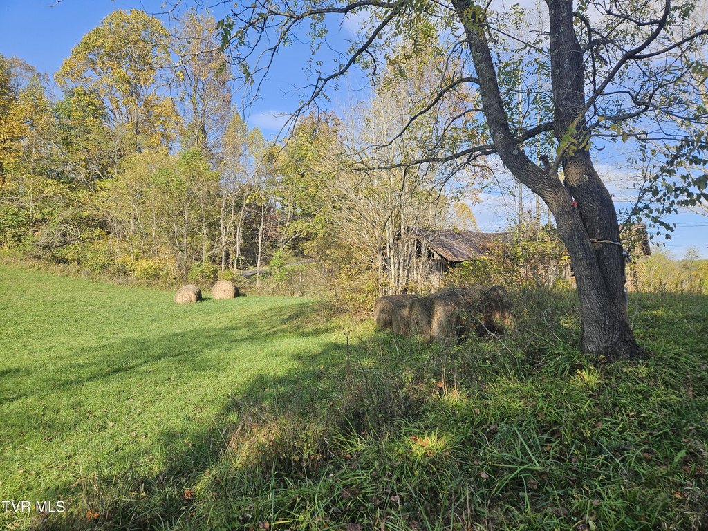 Picture 6