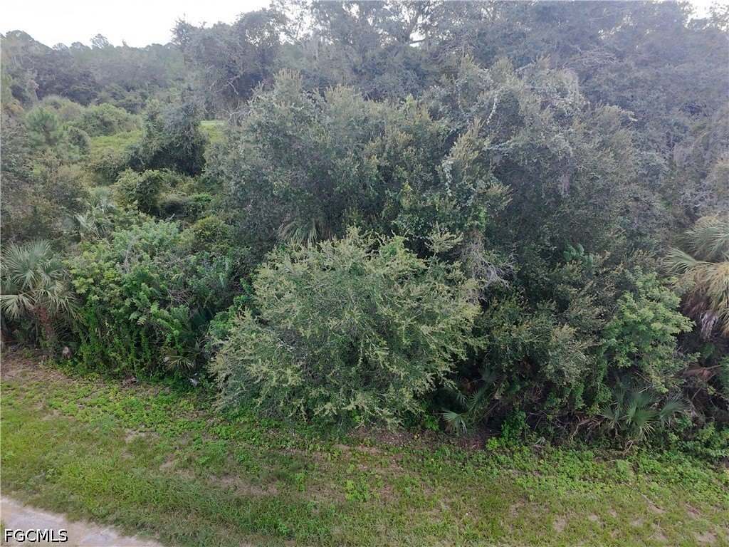 Picture 5